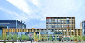 三業(yè)協(xié)同 上海網絡技術服務產業(yè)園的運營競爭力打造之道